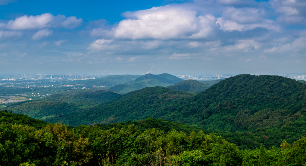 老山地貌 