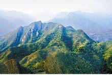 浙江九龙山国家森林公园