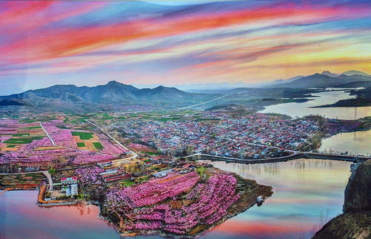 桃花林