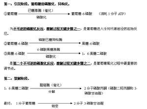 无氧代谢 