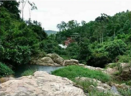 虎门石洞森林公园