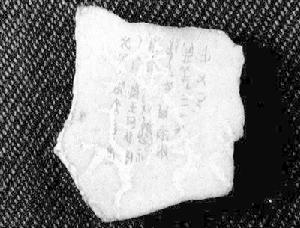 刻字卜骨