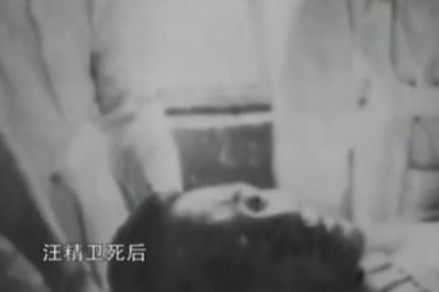 汪精卫遗照