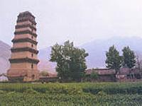 法王塔