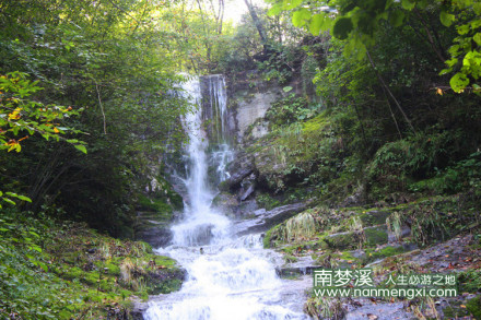森林 瀑布 风景 山水 溪水 古树 南梦溪