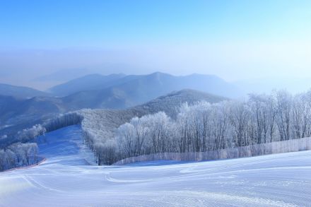 丰满区雪景
