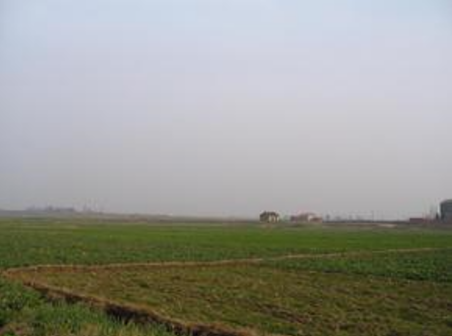 季家湖城址