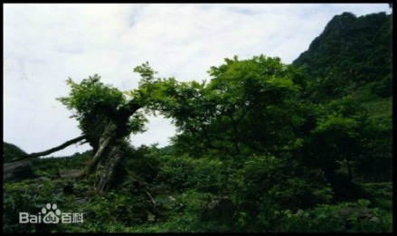 公园风光