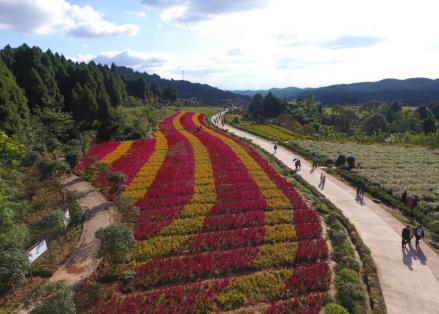崴螺山森林公园