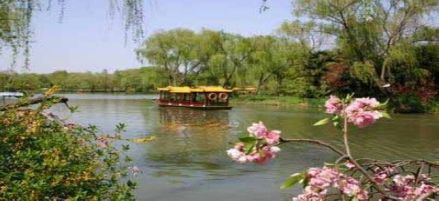 春堤荫柳