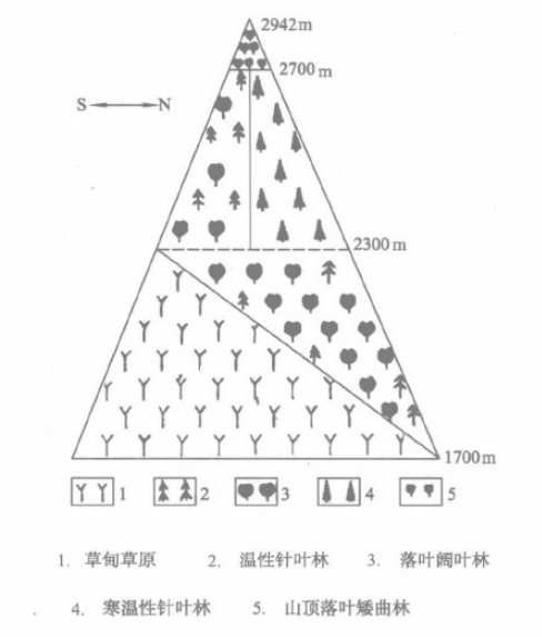 六盘山植被垂直带谱