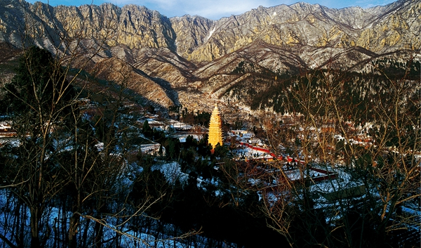 1915231388dv.jpg