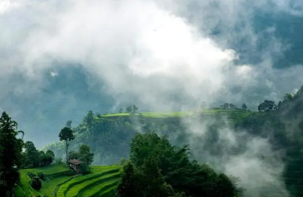 哀牢山