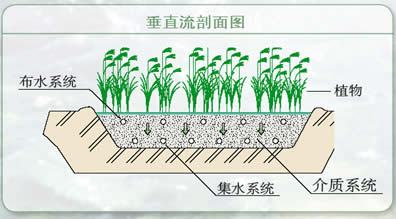 人工湿地