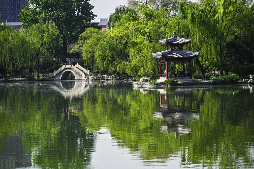 紫竹院公园