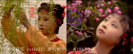 央视版《红楼梦》蕊官