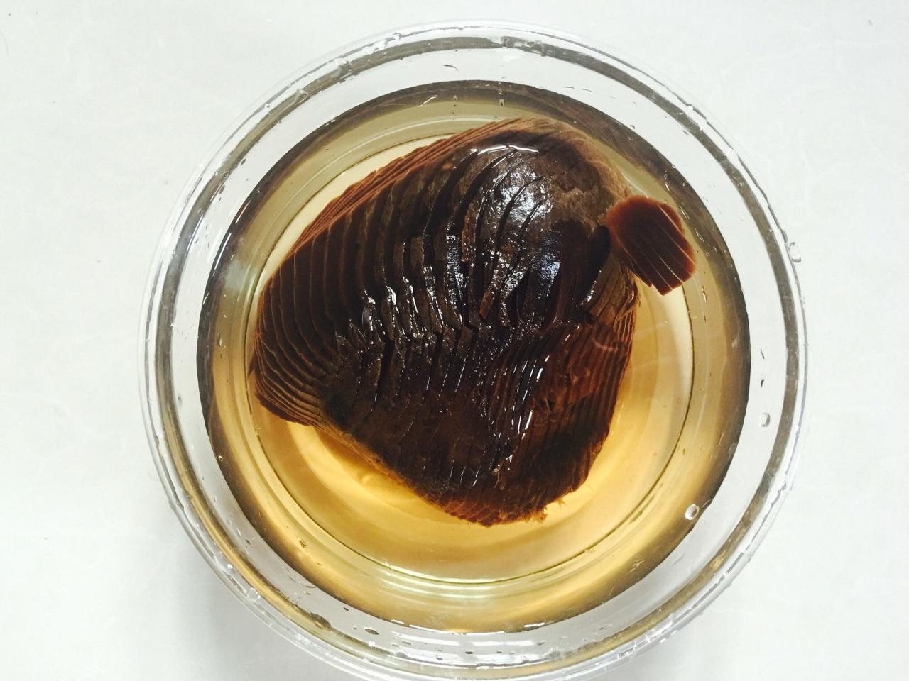 成武酱大头