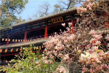 潭柘寺