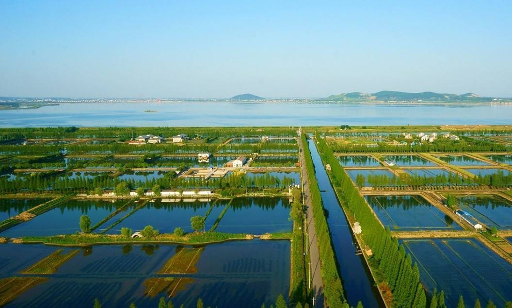 永胜圩区的水产养殖区
