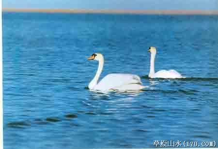 景观