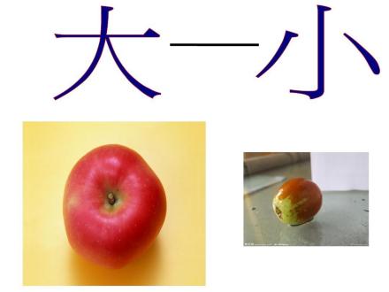 反义词