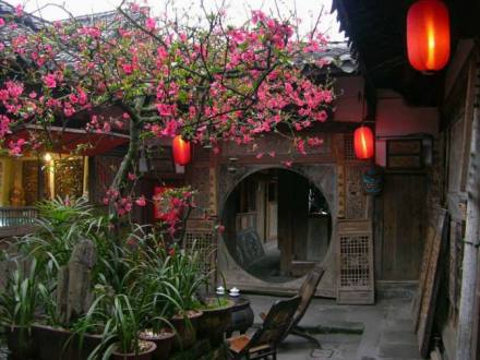 阆中海棠花