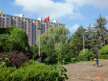 宁夏师范大学老校区校园掠影