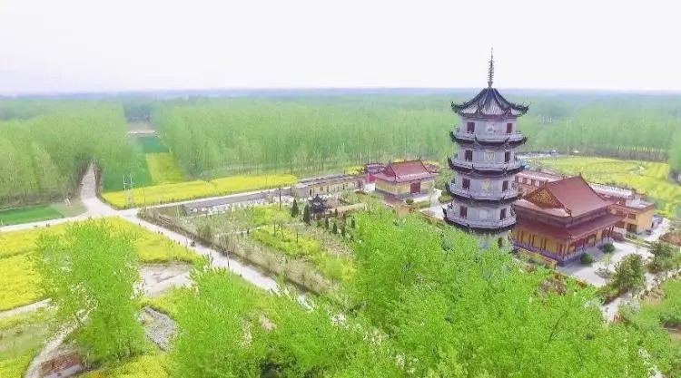 响水古云梯关黄河故道景区