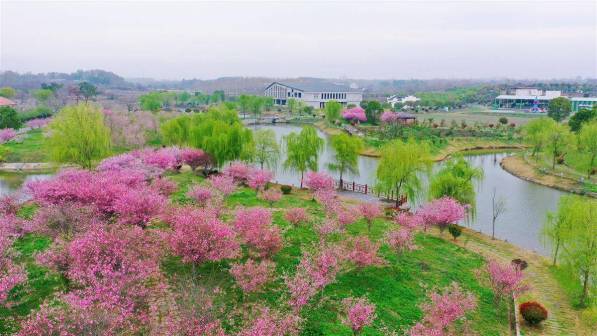 花朝河湾