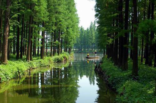 李中水上森林