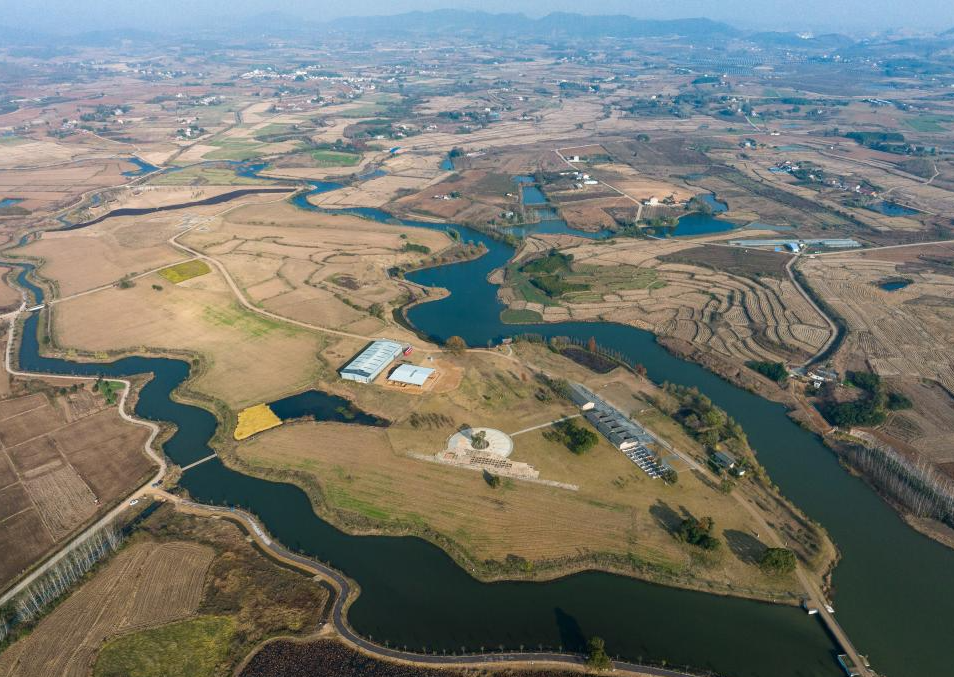 2023年12月4日拍摄的屈家岭遗址一角 