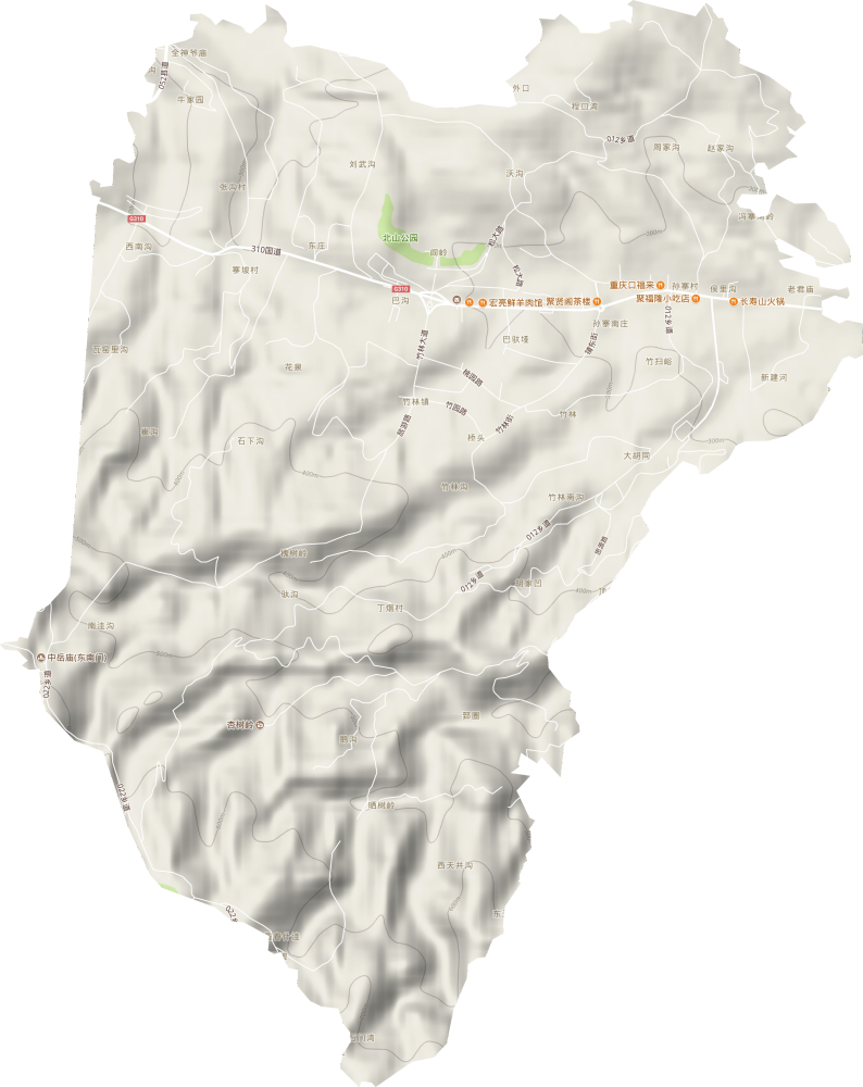 竹林镇地形图