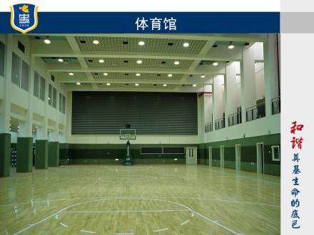 体育馆