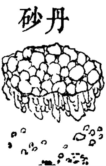 砂丹 