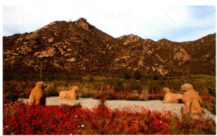 石羊石虎古墓群