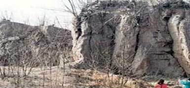 皇陵岗