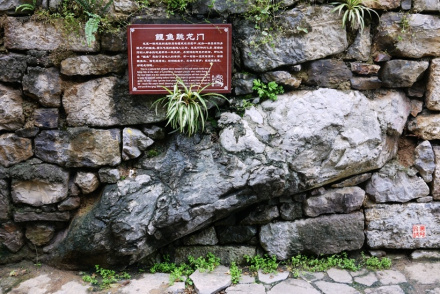 鲤鱼跳龙门