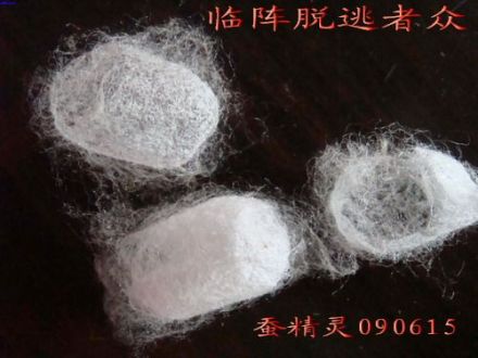 蚕茧
