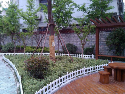 徐州市星光小学