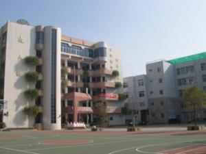 梅斯大学