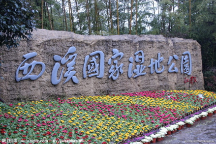 西溪国家湿地
