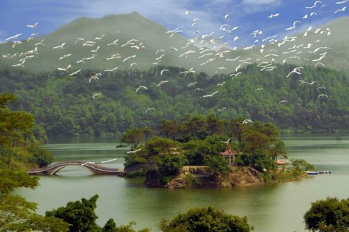 青南角水库