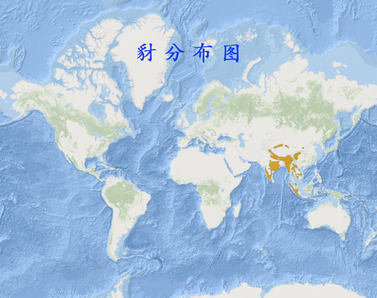 豺分布图 