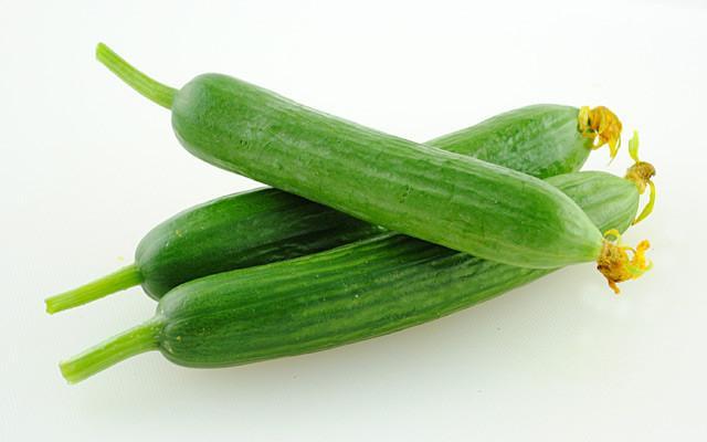 长乳黄瓜
