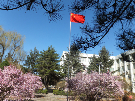 宁夏师范大学老校区校园掠影