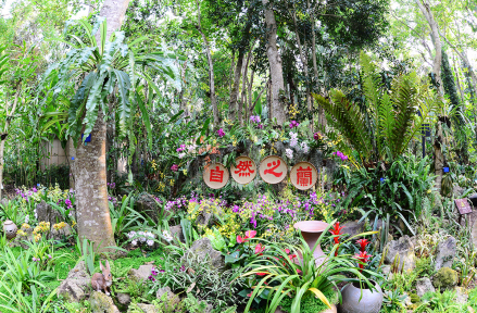 荫生植物园