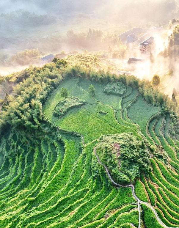 云和梯田景区