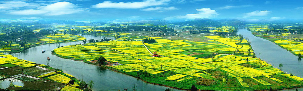 潼南油菜花景区全景图
