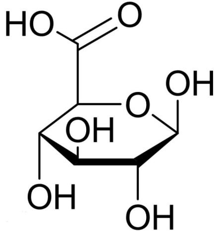 葡萄糖醛酸