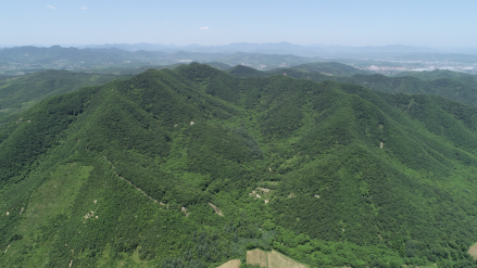 卧龙山山城遗址俯拍全景